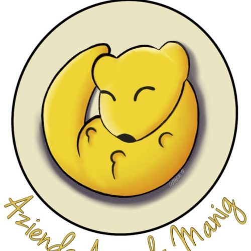 logo MANIG (1) (1)